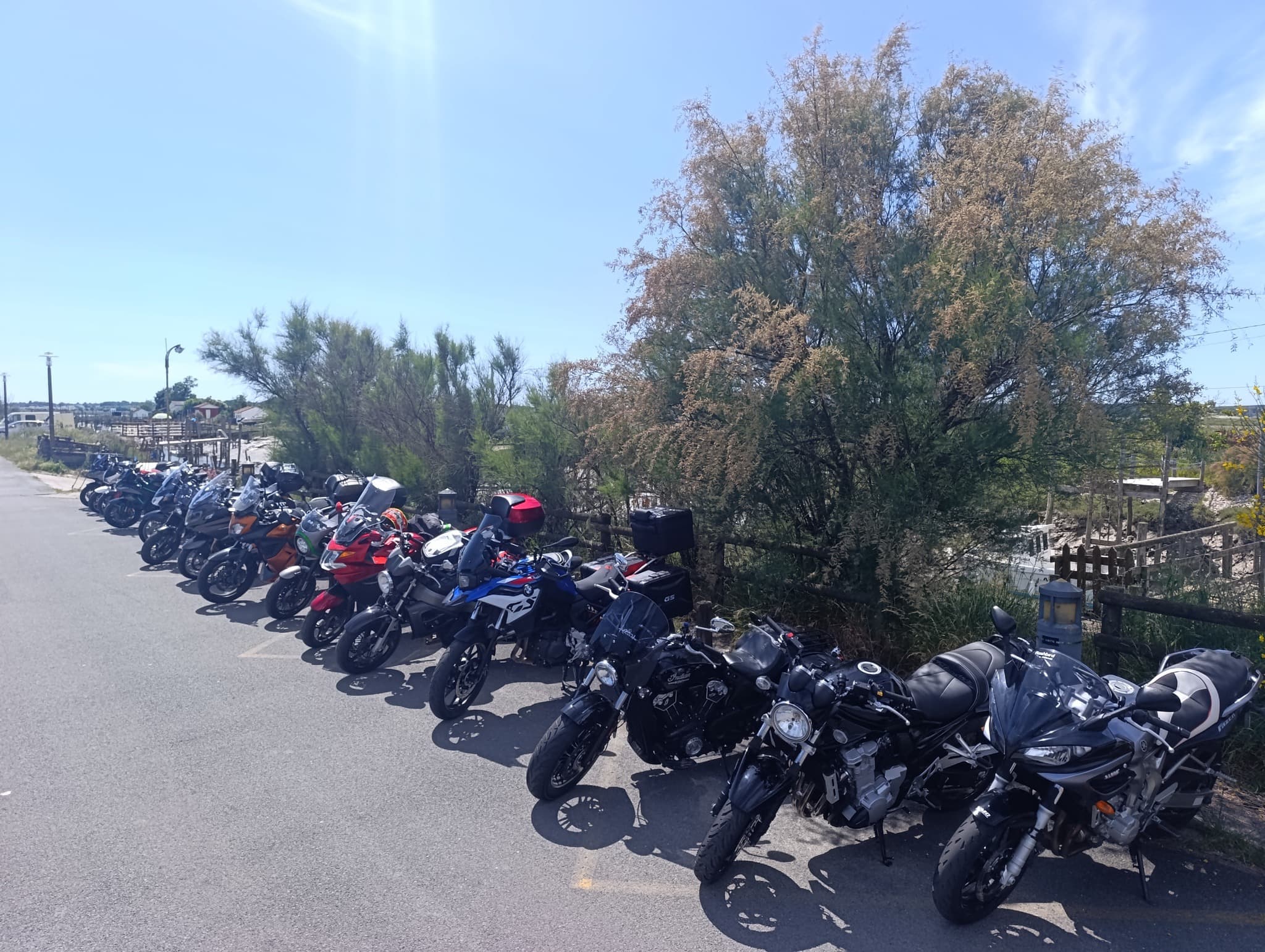 Cité de l'huître 2025